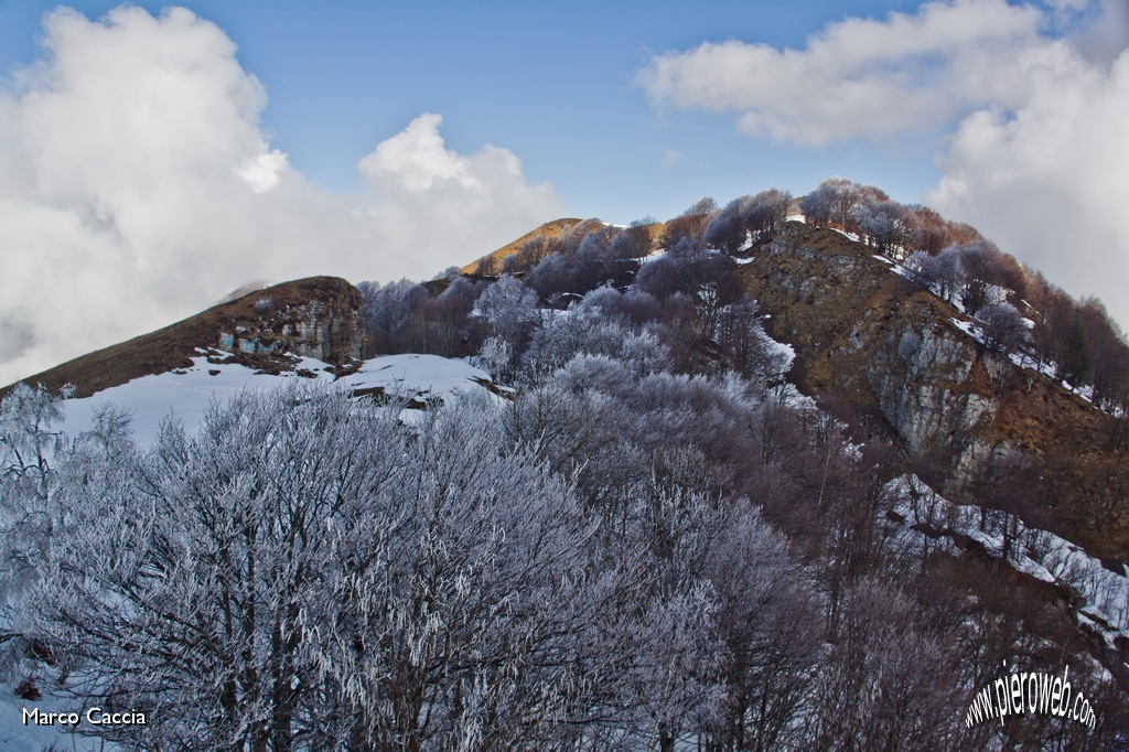 05_Prima la neve, ora galaverna e Sole.JPG